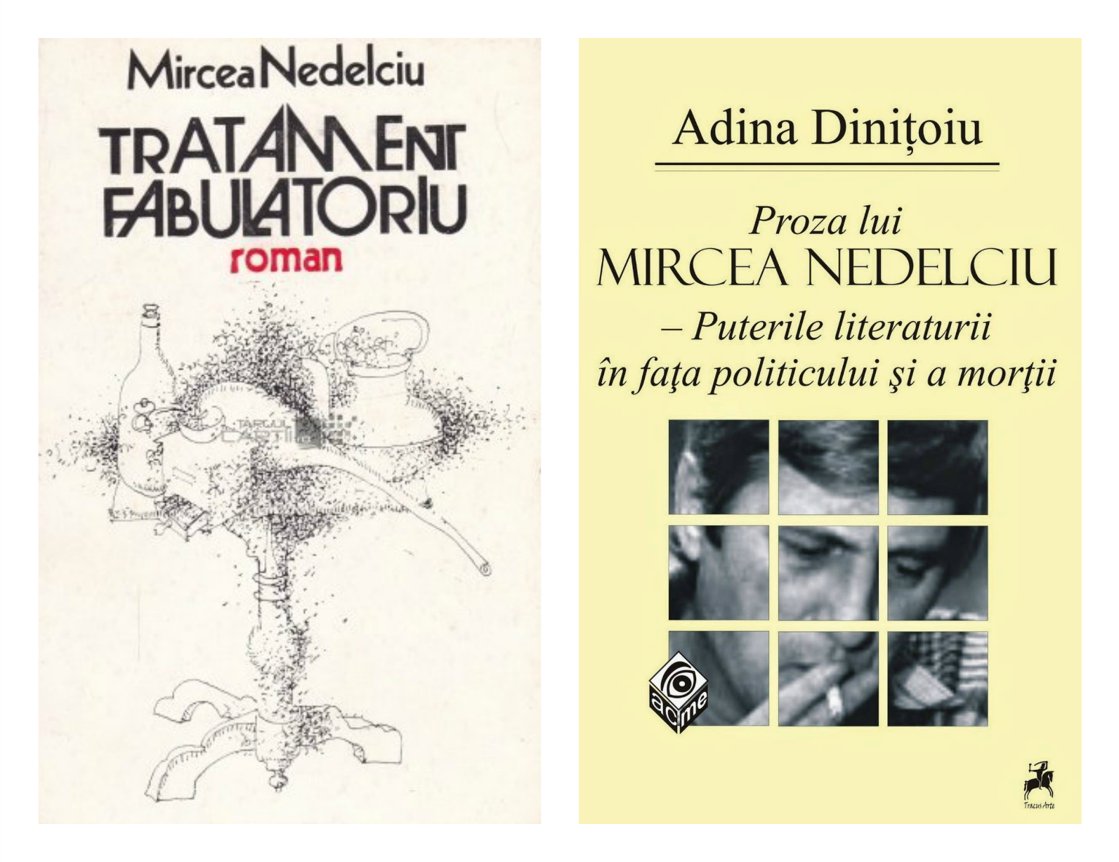 Reach content for Google search „Mircea Nedelciu”, „adina dinitoiu”