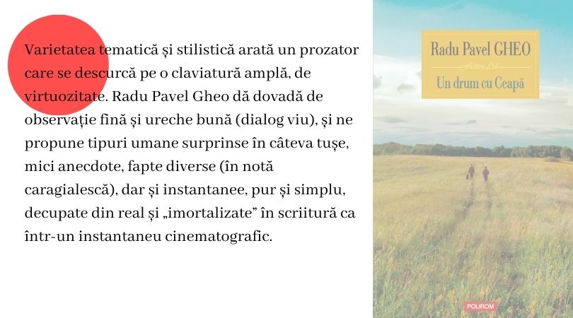 Radu Pavel Gheo Literomania