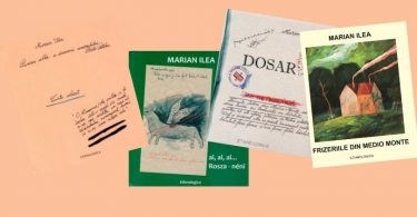 Reach content for Google search „Marian Ilea” „Mircea Bochis”