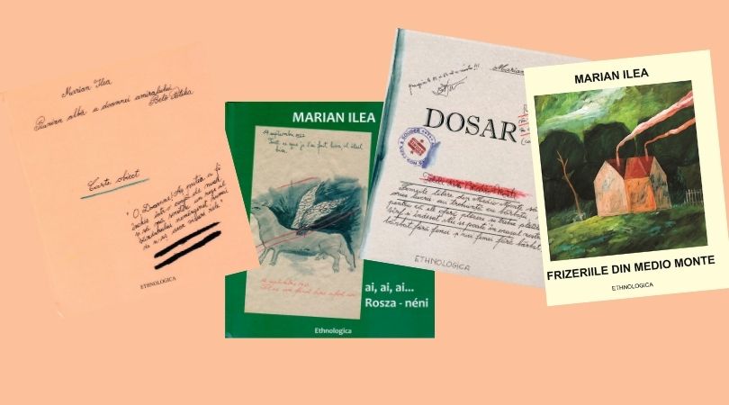 Reach content for Google search „Marian Ilea” „Mircea Bochis”
