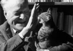 Reach content for Google search „Giuseppe Ungaretti”
