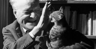 Reach content for Google search „Giuseppe Ungaretti”