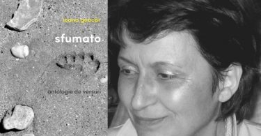 Reach content for Google search „Ioana Geacar”