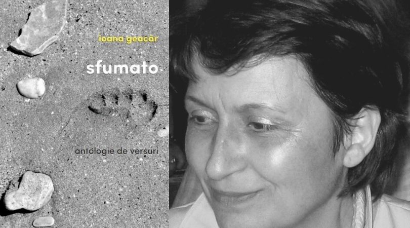 Reach content for Google search „Ioana Geacar”