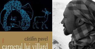 Reach content for Google search „Catalin Pavel”