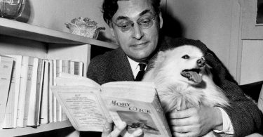 Reach content for Google search „Raymond Queneau”, „Ierburi in oras”