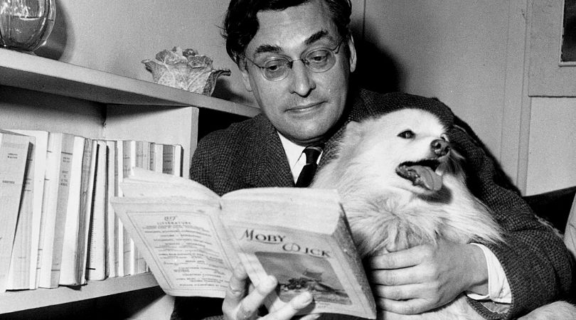 Reach content for Google search „Raymond Queneau”, „Ierburi in oras”