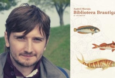 Reach content for „Andrei Mocuța”, „andrei mocuta”