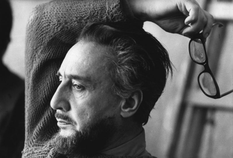 Reach content for Google search „romain gary”, „adina dinitoiu”, „marele vestiar”