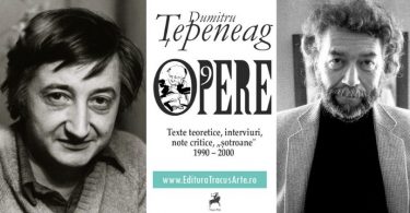 Reach content for Google search „Alain Robbe-Grillet”, „dumitru tepeneag”