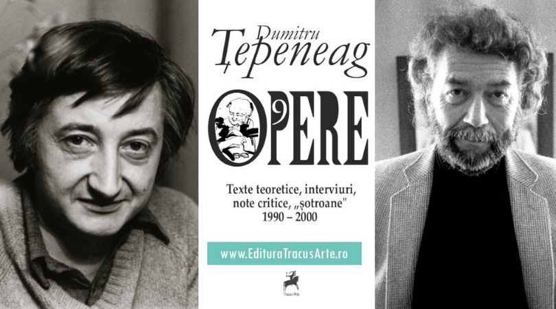 Reach content for Google search „Alain Robbe-Grillet”, „dumitru tepeneag”