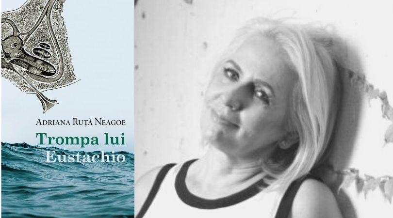 Reach content for Google search „adriana ruta neagoe”, „trompa lui eustachio”