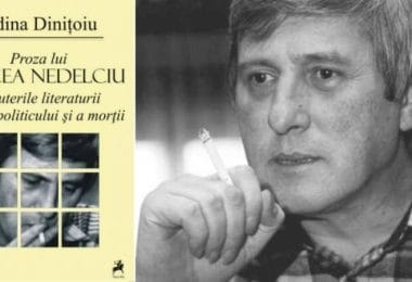 Reach content for Google search „mircea nedelciu”, „story”