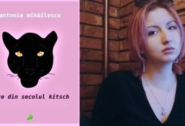 Reach content for the Google search „antonia mihailescu”, „note din secolul kitsch”