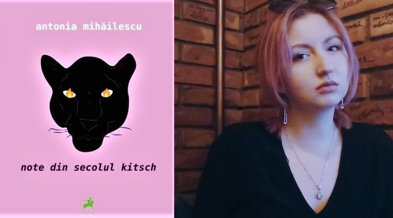 Reach content for the Google search „antonia mihailescu”, „note din secolul kitsch”