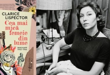 Reach content for Google search „clarice lispector”, „clarice lipsector carti”