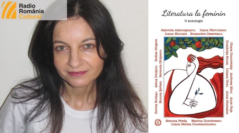 Reach content for Google search „adina dinitoiu”, „literatura la feminin”