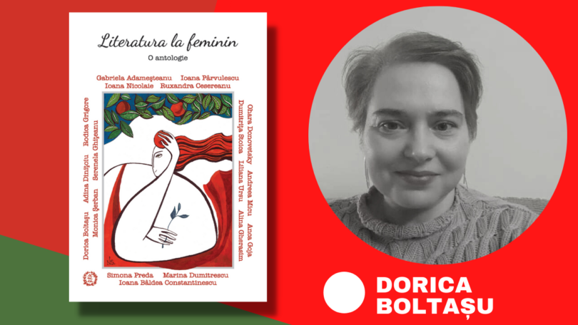 Reach content for Google search „Dorica Boltasu”, „literomania”, „literatura la feminin”, „editura seneca”