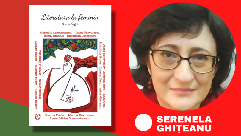 Reach content for Google search „literatura la feminin”, „literomania”, „editura seneca”
