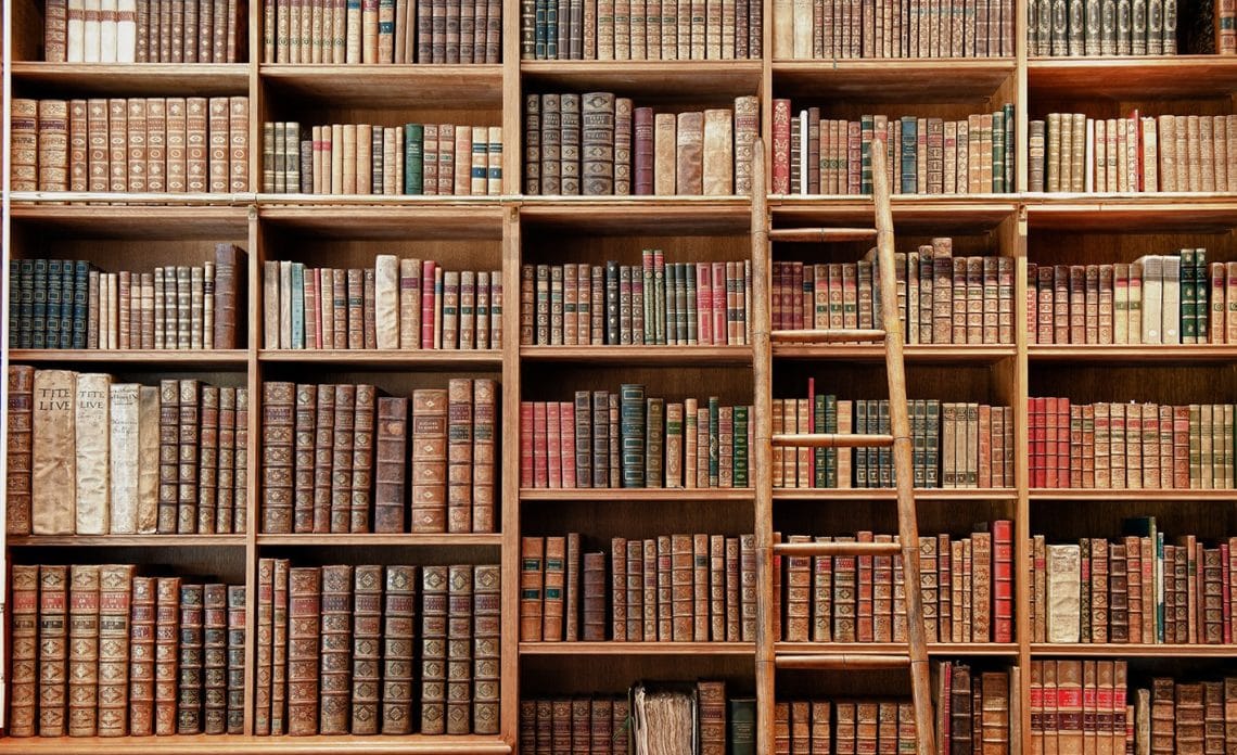 Reach content for Google search „critica literară”, „critica literara”, „adina dinitoiu”