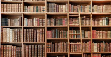 Reach content for Google search „critica literară”, „critica literara”, „adina dinitoiu”