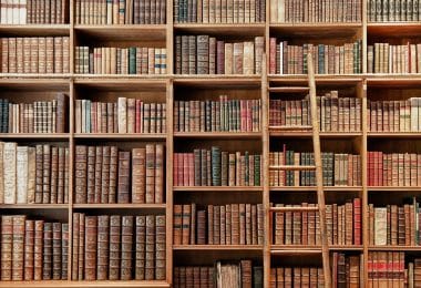 Reach content for Google search „critica literară”, „critica literara”, „adina dinitoiu”