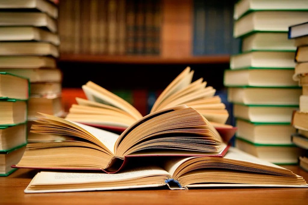 polemica-literara-literomania-299