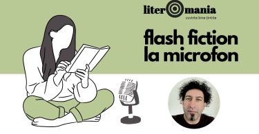Literomania. Flash fiction la microfon. „Noaptea în care s-au întors” de Narcis Amariei